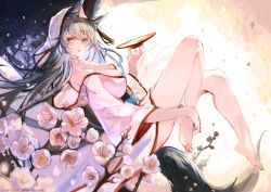Rule 34 | 1girl, animal ears, barefoot, black hair, branch, breasts, bud, cup, fox ears, fox tail, full moon, green eyes, highres, holding, holding cup, hood, hood up, japanese clothes, large breasts, long hair, moon, nagasawa tougo, obi, off shoulder, open mouth, original, petals, sakazuki, sash, solo, tail, wide sleeves