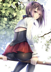 Rule 34 | 1girl, :o, ass, bad id, bad pixiv id, bike shorts, black thighhighs, blush, brown eyes, brown hair, collar, commentary request, corset, hair ornament, highres, in tree, kantai collection, kobayashi chisato, leaf, long sleeves, looking at viewer, looking back, miniskirt, panties, panties under shorts, pantyshot, parted lips, petals, pleated skirt, red skirt, short hair, simple background, sitting, sitting in tree, skirt, solo, taihou (kancolle), thighhighs, tree, underwear, upskirt, white background