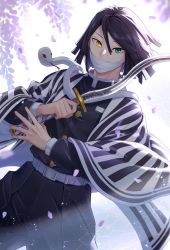 Rule 34 | 1boy, bandage on face, bandages, belt, black hair, black jacket, black pants, blue eyes, commentary request, cowboy shot, eyebrows hidden by hair, flower, hair between eyes, haori, heterochromia, holding, holding sword, holding weapon, iguro obanai, jacket, japanese clothes, kaburamaru, kimetsu no yaiba, long sleeves, looking at viewer, nayu (mcpt8738), pants, partial commentary, short hair, snake, standing, sword, weapon, white belt, white snake, wisteria, yellow eyes