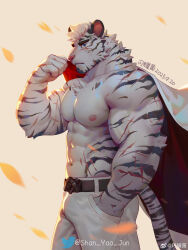 Rule 34 | 1boy, abs, absurdres, animal ears, arknights, backlighting, bara, belt, biceps, bulge, cowboy shot, from side, furry, furry male, hand in pocket, highres, holding, holding clothes, holding jacket, jacket, unworn jacket, large pectorals, looking at viewer, male focus, mountain (arknights), muscular, muscular male, navel, nipples, pants, pectorals, petals, profile, redrawn, scar, scar across eye, scar on arm, scar on face, shan yao jun, short hair, solo, stomach, tail, thick eyebrows, tiger boy, tiger ears, tiger tail, topless male, veins, white fur, white hair, white jacket, white pants