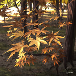 Rule 34 | autumn leaves, inika, leaf, maple leaf, no humans, original, scenery, translation request, tree, tree shade