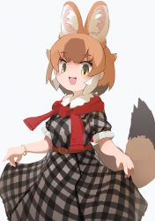 Rule 34 | 1girl, :d, animal ear fluff, animal ears, belt, black dress, bracelet, brown belt, brown hair, collared dress, commentary request, cowboy shot, dhole (kemono friends), dog ears, dog girl, dog tail, dress, extra ears, eyes visible through hair, film grain, frilled sleeves, frills, from side, grey background, grey dress, hair flaps, hands up, highres, jewelry, kemono friends, kemono friends 3, light brown hair, looking at viewer, looking to the side, multicolored hair, open mouth, plaid, plaid dress, puffy short sleeves, puffy sleeves, saltlaver, short hair, short sleeves, sidelocks, simple background, skirt hold, smile, solo, standing, sweater around neck, tail, yellow eyes