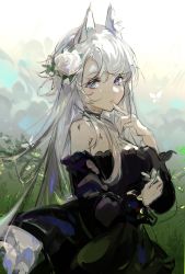 Rule 34 | 1girl, animal ear fluff, animal ears, arknights, bare shoulders, black dress, blue eyes, blush, bug, butterfly, closed mouth, cloud, cowboy shot, day, dress, finger to mouth, flower, hair flower, hair ornament, heavyrain (arknights), heavyrain (tranquil moss) (arknights), highres, horse ears, insect, long hair, official alternate costume, outdoors, qianzhu, rose, silver hair, solo, sunlight, swept bangs, white flower, white rose