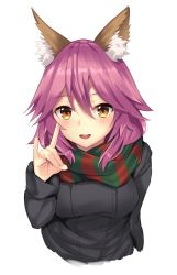 Rule 34 | 1girl, animal ears, bad id, bad twitter id, black sweater, blush, breasts, brown eyes, fate/grand order, fate (series), fox ears, green scarf, highres, long hair, long sleeves, looking at viewer, medium breasts, multicolored clothes, multicolored scarf, open mouth, pink hair, red scarf, scarf, sketch, smile, solo, suiroh (shideoukami), sweater, tamamo (fate), tamamo no mae (fate/extra), upper body