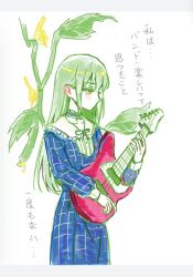 Rule 34 | 1girl, bang dream!, bang dream! it&#039;s mygo!!!!!, blue choker, blue dress, blush, chinese commentary, choker, commentary request, dress, electric guitar, frilled choker, frills, green hair, guitar, highres, holding, holding guitar, holding instrument, instrument, long hair, long sleeves, plant, sailor collar, solo, tianzhongdouyi1, translation request, wakaba mutsumi, white sailor collar, yellow eyes
