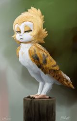 Rule 34 | barn owl, bird, bird legs, blurry, dated, depth of field, feathers, green eyes, highres, looking to the side, mataknight, mouth hold, outta sync, owl, signature, solo, standing, tagme, talons, white feathers, wings, yellow feathers