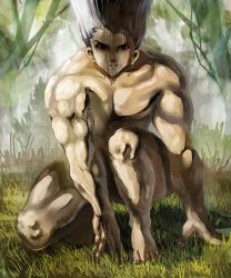Rule 34 | 1boy, black hair, gon-san, gon freecss, grass, hunter x hunter, long hair, looking at viewer, male focus, manly, marimoppoi, muscular, shaded face, solo, tree, very long hair