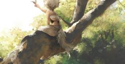 Rule 34 | 1girl, back, bare arms, bare shoulders, bird, from behind, in tree, inubashiri momiji, nature, outstretched arm, pants, sarashi, short hair, silver hair, sitting, sitting in tree, solo, tail, tohya, touhou, touya (tottoo-to), tree, wolf tail