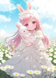 Rule 34 | 1girl, animal, animal ears, blue sky, blurry, blurry foreground, bow, chitosezaka suzu, closed mouth, cloud, cloudy sky, commentary request, day, depth of field, dress, field, flower, flower field, hair bow, head tilt, holding, holding animal, juliet sleeves, long hair, long sleeves, looking at viewer, original, outdoors, pink hair, puffy sleeves, rabbit, rabbit ears, red eyes, sky, smile, solo, swept bangs, very long hair, white bow, white dress, white flower, wide sleeves