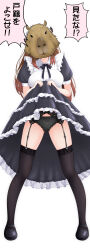 Rule 34 | 1girl, alternate costume, animal head, black bow, black bowtie, black footwear, black garter belt, black panties, black skirt, black thighhighs, bow, bowtie, breasts, brown hair, capybara girl, clothes lift, collared shirt, commentary request, dress, dress lift, enmaided, frilled dress, frills, full body, garter belt, highres, kemunpasu (keeen), large breasts, looking at viewer, maid, nanashi inc., open mouth, panties, puffy short sleeves, puffy sleeves, shirt, shoes, short sleeves, simple background, skirt, solo, thighhighs, translation request, underwear, virtual youtuber, white background, white shirt, yunohara izumi