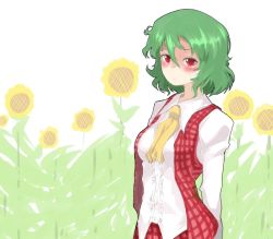 Rule 34 | 1girl, arms behind back, ascot, between breasts, blouse, blush, breasts, clothes between breasts, female focus, flower, frown, green hair, kazami yuuka, oso (toolate), plaid, plaid skirt, plaid vest, red eyes, shirt, skirt, skirt set, solo, sunflower, touhou, vest, white background