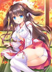 Rule 34 | 1girl, :o, ameto yuki, animal ears, ass, autumn leaves, bell, blue eyes, blush, bow, breasts, brown hair, commentary request, crescent, crescent hair ornament, day, feet out of frame, frilled panties, frills, hair bow, hair ornament, hand up, has bad revision, has downscaled revision, highres, indoors, japanese clothes, jingle bell, leaf, long hair, long sleeves, looking at viewer, maple leaf, md5 mismatch, medium breasts, miko, on floor, original, panties, pantyshot, parted lips, rabbit ears, rabbit girl, rabbit tail, resolution mismatch, ribbon-trimmed legwear, ribbon-trimmed sleeves, ribbon trim, sleeves past wrists, solo, source smaller, star (symbol), star hair ornament, tail, tatami, thighhighs, twitter username, underwear, very long hair, white bow, white panties, white thighhighs, wide sleeves