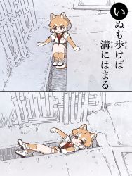 Rule 34 | 1girl, :3, animal ears, blush, brown gloves, brown socks, brown vest, collared shirt, dog (shiba inu) (kemono friends), dog ears, dog girl, dog tail, elbow gloves, extra ears, fang, gloves, harness, highres, hole, iroha karuta, japari symbol, karuta (card game), kemono friends, light brown hair, looking at viewer, multicolored hair, necktie, orange eyes, photo-referenced, red necktie, shirt, shoes, short hair, short sleeves, sneakers, socks, solo, t-shirt, tail, tanaka kusao, translated, two-tone gloves, two-tone hair, two-tone legwear, two-tone vest, vest, white footwear, white gloves, white hair, white shirt, white socks, white vest
