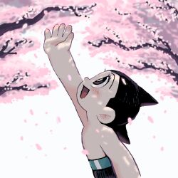 Rule 34 | 1boy, atom (tetsuwan atom), black hair, brown eyes, cherry blossoms, commentary request, highres, looking up, male focus, marias (harako), open mouth, petals, reaching, smile, solo, tetsuwan atom, tree shade
