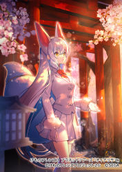Rule 34 | 1girl, animal ears, blouse, bow, bowtie, cherry blossoms, commentary request, extra ears, fox ears, fox girl, fox tail, fur trim, hasumikaoru, jacket, kemono friends, kemono friends 3, leg ribbon, long hair, long sleeves, multiple torii, official art, oinari-sama (kemono friends), pleated skirt, red bow, red bowtie, ribbon, shirt, skirt, solo, tail, thigh ribbon, torii, translation request, white fur, white hair, white jacket, white shirt, yellow eyes