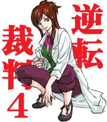 Rule 34 | 1girl, bad id, bad pixiv id, brown hair, capcom, green eyes, ace attorney, apollo justice: ace attorney, half updo, ema skye, lab coat, lowres, nattoucoroni, sleeves rolled up, squatting