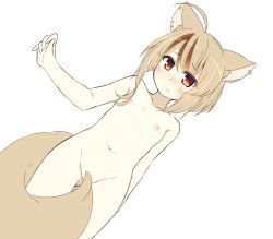 Rule 34 | 1girl, ahoge, animal ear fluff, animal ears, blush, brown hair, chaakusu, ear piercing, earrings, fennery (show by rock!!), flat chest, fox ears, fox tail, frown, furrowed brow, jewelry, light brown hair, monochrome background, multicolored hair, nipples, nose blush, nude, orange eyes, piercing, short hair, show by rock!!, simple background, single earring, streaked hair, tail, tail censor, two-tone hair, white background