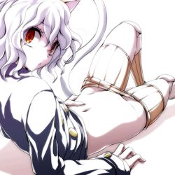 Rule 34 | 1girl, animal ears, breasts, cat ears, cat tail, hunter x hunter, looking at viewer, navel, neferpitou, no panties, open mouth, other focus, red eyes, short hair, shorts, simple background, solo, stomach, tail, watarui, wavy hair, white background, white hair