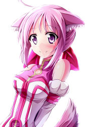 Rule 34 | 10s, 1girl, ahoge, animal ear fluff, animal ears, bare shoulders, dog days, dog ears, dog girl, dog tail, kayama kenji, looking at viewer, millhiore f. biscotti, pink hair, purple eyes, reki 48, short hair, simple background, smile, solo, tail, white background