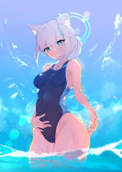 Rule 34 | 1girl, absurdres, animal ear fluff, animal ears, black one-piece swimsuit, blue archive, blue eyes, blue sky, breasts, cameltoe, cloud, competition swimsuit, covered navel, cowboy shot, cross hair ornament, extra ears, from below, grey hair, hair ornament, halo, highleg, highleg swimsuit, highres, low ponytail, medium breasts, medium hair, mismatched pupils, multicolored clothes, multicolored swimsuit, one-piece swimsuit, pareorepa, partially submerged, partially underwater shot, shiroko (blue archive), shiroko (swimsuit) (blue archive), sky, solo, standing, swimsuit, underwater, wading