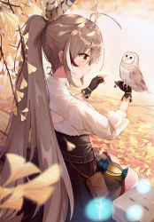Rule 34 | 1girl, absurdres, ahoge, autumn leaves, belt, belt pouch, bench, bird, blurry, blurry foreground, branch, breasts, brooch, brown belt, brown corset, brown eyes, brown gloves, brown hair, cleavage cutout, closed mouth, clothing cutout, corset, falling leaves, feather hair ornament, feathers, friend (nanashi mumei), frilled skirt, frills, from behind, gloves, hair ornament, hair tie, highres, hololive, hololive english, jewelry, lantern, leaf, long hair, medium breasts, multicolored hair, nanashi mumei, owl, partially fingerless gloves, ponytail, pouch, puffy sleeves, red skirt, runes, shirt, sitting, skirt, smile, streaked hair, very long hair, virtual youtuber, white shirt, wolfgang (paul94104875)