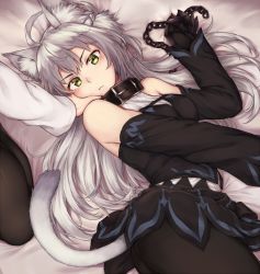 Rule 34 | 1girl, ahoge, animal ear fluff, animal ears, atalanta (fate), atalanta alter (fate), atalanta alter (first ascension) (fate), cat ears, cat tail, cold (hoshinoskull), collar, detached sleeves, fate/grand order, fate (series), green eyes, hand on another&#039;s face, long hair, on bed, pantyhose, solo, tail, white hair