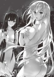 Rule 34 | 2girls, ass, breasts, female focus, large breasts, limalisha, long hair, madan no ou to carnwenhan, madan no ou to vanadis, monochrome, multiple girls, novel illustration, nude, official art, outdoors, sky, standing, water