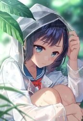 Rule 34 | 1girl, artist name, black hair, blue eyes, blue sailor collar, closed mouth, crying, crying with eyes open, day, highres, hood, hood up, knees up, long sleeves, looking at viewer, neckerchief, nekozuki yuki, original, outdoors, raincoat, red neckerchief, sailor collar, shirt, short hair, sitting, solo, tears, transparent raincoat, v-shaped eyebrows, white shirt
