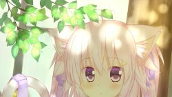 Rule 34 | 1girl, animal ears, blush, closed mouth, day, face, hair ornament, highres, leaves, looking at viewer, outdoors, pink eyes, pink hair, pink tail, purple eyes, shadow, solo, tail, tree
