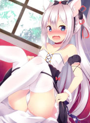 Rule 34 | 1girl, animal ears, azur lane, bare shoulders, black bow, black dress, blue eyes, blush, bow, cat ears, cat hair ornament, commentary request, day, detached sleeves, dress, dutch angle, fang, hair between eyes, hair bow, hair ornament, hair ribbon, hammann (azur lane), indoors, long hair, looking at viewer, nose blush, one side up, open mouth, panties, ponpon (tosico), puffy short sleeves, puffy sleeves, red ribbon, remodel (azur lane), ribbon, short sleeves, sidelocks, silver hair, sitting, solo, sunlight, thighhighs, underwear, v-shaped eyebrows, very long hair, white panties, white thighhighs, window, wrist cuffs