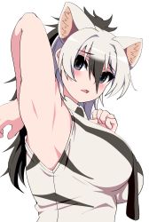 Rule 34 | 1girl, aardwolf (kemono friends), aardwolf print, animal ears, armpits, black eyes, black hair, blush, breasts, embarrassed, female focus, from side, highres, kemono friends, large breasts, long hair, looking at viewer, mamiyama, multicolored hair, necktie, open mouth, presenting armpit, shirt, simple background, solo, upper body, white background, white hair, white shirt