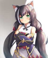 Rule 34 | 1girl, animal ear fluff, animal ears, bare shoulders, black hair, blush, bow, cat ears, cat girl, closed mouth, crossed arms, detached sleeves, dot nose, frown, green eyes, grey background, grey skirt, hair bow, highres, karyl (princess connect!), klaius, long hair, long sleeves, looking at viewer, low-tied long hair, princess connect!, red bow, skirt, solo, standing, twintails, very long hair