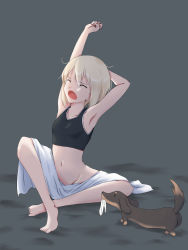 Rule 34 | 1girl, animal, arm behind head, arm up, armpits, bare shoulders, blonde hair, blush, bottomless, breasts, closed eyes, collarbone, dachshund, dog, erica hartmann, grey background, groin, highres, isosceles triangle (xyzxyzxyz), navel, no panties, open mouth, panties, unworn panties, shiny skin, short hair, simple background, small breasts, stretching, strike witches, tears, underwear, white panties, world witches series, yawning