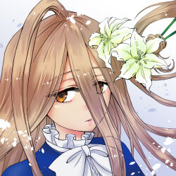 Rule 34 | 1girl, blue capelet, bow, brown eyes, brown hair, capelet, commentary request, diam-stone, flower, hair between eyes, holding, lips, long hair, looking at viewer, lowres, prehensile hair, sense (sousou no frieren), simple background, solo, sousou no frieren, white background, white bow, white flower