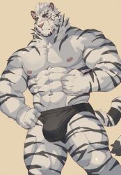 Rule 34 | 1boy, abs, absurdres, amenohi, arknights, bara, furry, furry male, highres, male focus, mountain (arknights), muscular, muscular male, nipples, pectorals, scar, scar on face, standing, tiger boy, underwear, underwear only, white fur