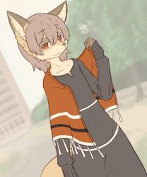 Rule 34 | androgynous, animal ears, brown hair, collarbone, dress, flat color, fox, furry, gender request, long sleeves, lowres, nature, ohakotome, outdoors, plant, red eyes, short hair, sky, smile, solo, tail