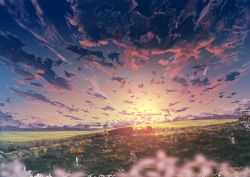 Rule 34 | abisswalker8, blurry, blurry foreground, cloud, cloudy sky, commentary, field, flower, grass, highres, horizon, no humans, original, outdoors, plain, rock, scenery, sky, star (sky), sunlight, sunrise, white flower, yellow flower, yellow sky