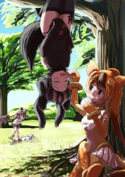Rule 34 | 4girls, @ @, absurdres, african wild dog (kemono friends), animal ears, arm up, aye-aye (kemono friends), bear ears, paw stick, black hair, blush, bodystocking, brown bear (kemono friends), brown hair, china dress, chinese clothes, colored inner hair, commentary request, crossed legs, dappled sunlight, day, dog ears, dress, dress tug, elbow gloves, extra ears, closed eyes, feeding, flying sweatdrops, food, gloves, golden snub-nosed monkey (kemono friends), grey hair, hand on own hip, hand up, hanging, high ponytail, highres, holding, holding food, holding weapon, japari bun, kemono friends, lemur ears, lemur tail, leotard, long hair, looking at another, lying, microskirt, monkey ears, monkey tail, multicolored hair, multiple girls, on back, open mouth, orange hair, outdoors, pink hair, shirt, shorts, shuriken, sitting, skirt, star (symbol), sunlight, tail, teriiman, thighhighs, tree, tree shade, twintails, unconscious, upside-down, very long hair, weapon, worried