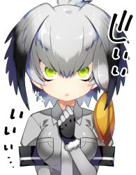 Rule 34 | 10s, 1girl, :o, bird wings, black gloves, black hair, blush, bodystocking, collared shirt, feathered wings, fingerless gloves, gloves, green eyes, grey hair, grey shirt, hand on own chest, head wings, highres, kemono friends, long hair, low ponytail, marui shiro, multicolored hair, necktie, open mouth, orange hair, shirt, shoebill (kemono friends), side ponytail, simple background, solo, staring, sweatdrop, text focus, translated, tsurime, white background, white necktie, wings