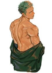 Rule 34 | 1boy, back, bare back, coat, green coat, green hair, highres, looking at viewer, looking back, male focus, muscular, muscular male, nisir0, one piece, open clothes, roronoa zoro, short hair, solo, tan, white background