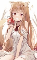 Rule 34 | 1girl, animal ears, apple, bare shoulders, blush, breasts, brown hair, commentary request, dress, eating, food, food on face, fruit, grey dress, grin, highres, holding, holding food, holding fruit, holo, kinokomushi, long hair, looking at viewer, off-shoulder dress, off shoulder, red eyes, sitting, small breasts, smile, solo, spice and wolf, tail, teeth, very long hair, wolf ears, wolf girl, wolf tail