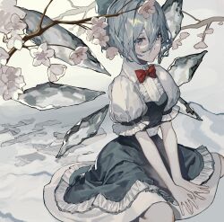 Rule 34 | 1girl, absurdres, arm support, blue bow, blue dress, blue eyes, blue hair, bow, bowtie, branch, cherry blossoms, cirno, collared shirt, commentary, cowboy shot, cyrintheum, detached wings, dress, hair between eyes, hair bow, highres, ice, ice wings, looking at viewer, red bow, red bowtie, shirt, short hair, sitting, solo, touhou, wariza, white shirt, wings