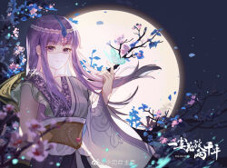 Rule 34 | 1girl, arm up, asymmetrical sleeves, branch, bug, butterfly, closed mouth, expressionless, falling petals, hair ornament, highres, huangran dawu, index finger raised, insect, long hair, moon, night, petals, purple eyes, purple hair, qinshi mingyue, second-party source, shao siming (qin shi ming yue), solo, upper body, veil