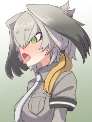 Rule 34 | 10s, 1girl, blush, breast pocket, collared shirt, commentary request, from side, gradient background, gradient hair, green background, green eyes, grey background, grey hair, grey shirt, hair between eyes, head wings, kemono friends, layered sleeves, long sleeves, multicolored hair, necktie, open mouth, oral invitation, pocket, shirt, shoebill (kemono friends), short over long sleeves, short sleeves, solo, sumiyao (amam), sweat, sweatdrop, tongue, tongue out, white necktie, wings