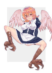 Rule 34 | 1girl, bird legs, blush, breasts, camouflage crow, dress, feathered wings, harpy, heart, heart-shaped pupils, highres, ishuzoku reviewers, juliet sleeves, long sleeves, maid, maid headdress, meidri, monster girl, no panties, orange hair, puffy sleeves, red eyes, short hair, solo, spread legs, symbol-shaped pupils, talons, wings
