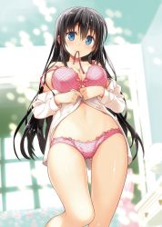 Rule 34 | 1girl, 29 to jk, absurdres, black hair, blue eyes, blurry, blurry background, bra, breasts, cleavage, collared shirt, dress shirt, from below, gluteal fold, hair between eyes, highres, large breasts, light blush, long hair, long sleeves, looking at viewer, minamisato karen, mouth hold, navel, novel illustration, off shoulder, official art, open clothes, open shirt, panties, pink bra, pink panties, plaid, plaid bra, plaid panties, ribbon, ribbon in mouth, shiny skin, shirt, smile, solo, standing, strap slip, textless version, thigh gap, thighs, underwear, undressing, white shirt, yan-yam