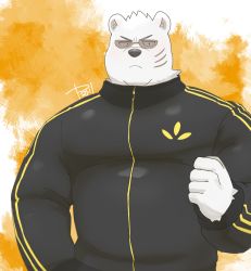 Rule 34 | 1boy, animal ears, bara, bear boy, bear ears, black jacket, character request, frown, furry, furry male, highres, jacket, large pectorals, looking at viewer, male focus, muscular, muscular male, odd taxi, pectorals, sekiguchi (odd taxi), short hair, solo, sunglasses, upper body, white fur, yanutorie