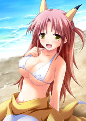Rule 34 | 10s, 1girl, animal ears, beach, bikini, blush, breasts, brown hair, cleavage, infinite stratos, large breasts, long hair, nohotoke honne, open mouth, sand, smile, solo, swimsuit, tsuda akira, two side up, yellow eyes