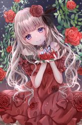 Rule 34 | 1girl, absurdres, bad id, bad pixiv id, bug, butterfly, choker, dress, flower, frilled dress, frills, hair flower, hair ornament, highres, huge filesize, insect, long hair, looking at viewer, off-shoulder dress, off shoulder, oshiro project:re, purple eyes, red dress, rose, sakura mochiko, silver hair, solo, strapless, strapless dress