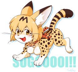 Rule 34 | 10s, 1girl, animalization, artist request, breasts, brown eyes, full body, furry, furry female, kemono friends, medium breasts, no humans, open mouth, orange hair, serval (kemono friends), short hair, solo